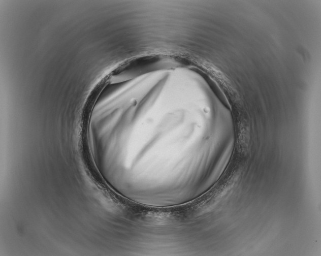 X0000111680440200908141453