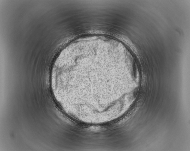 X0000111680441200908141453