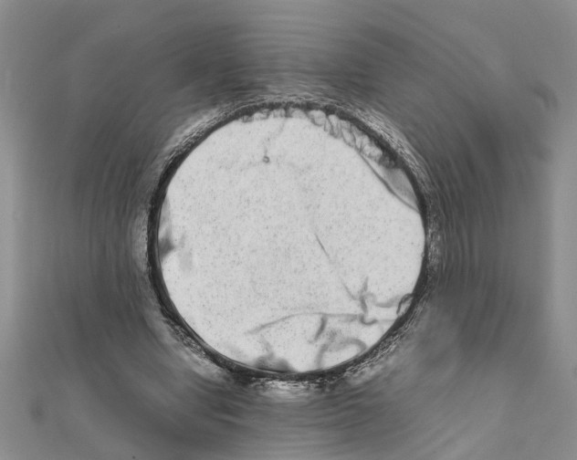 X0000111680442200908141453