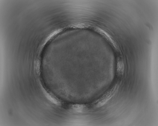 X0000111680444200908141453