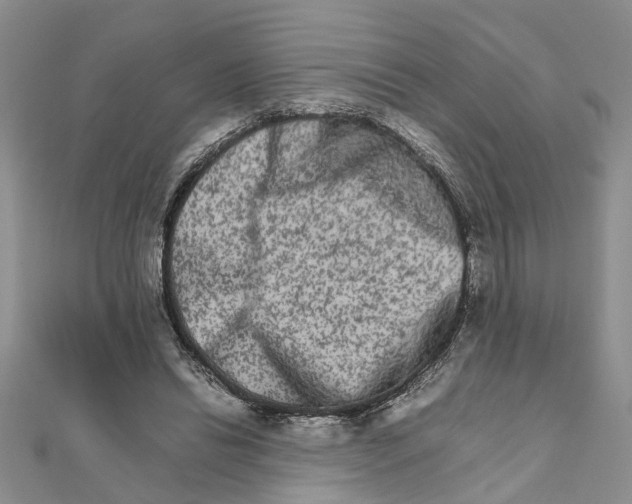 X0000111680446200908141453