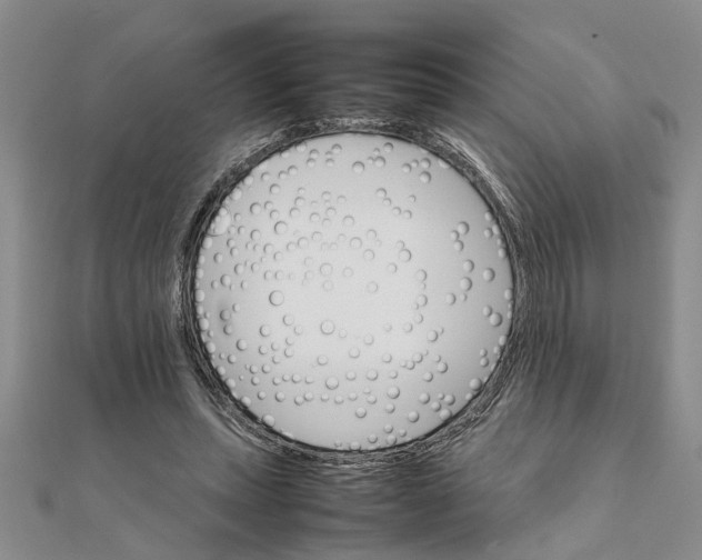 X0000111680447200908141453