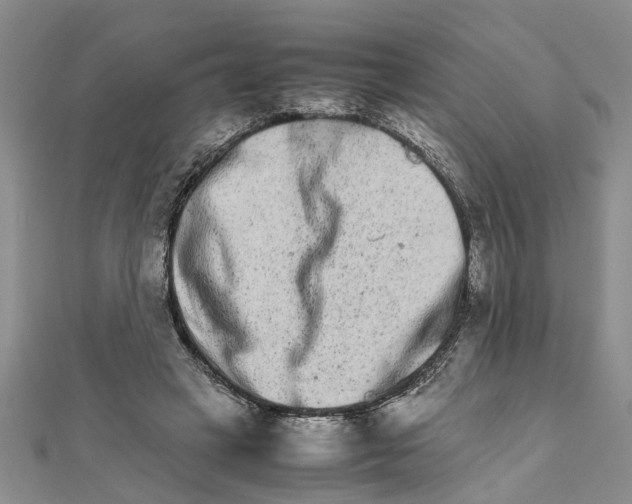 X0000111680449200908141453