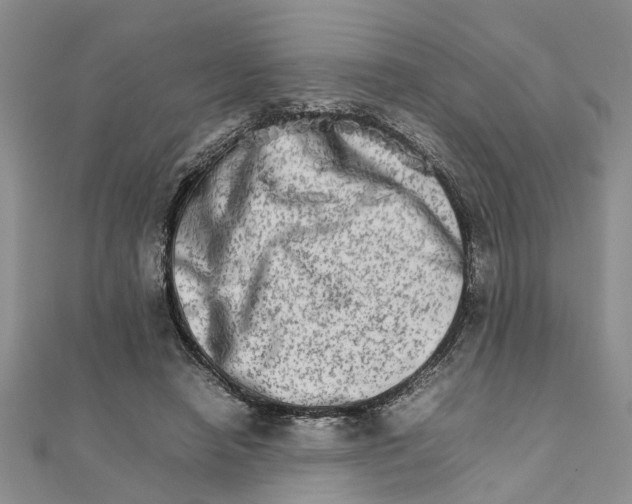 X0000111680450200908141453