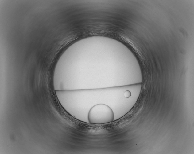 X0000111680451200908141453