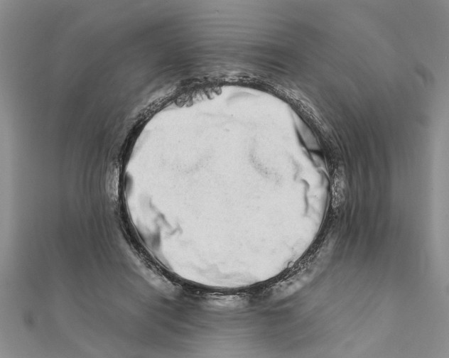 X0000111680454200908141453