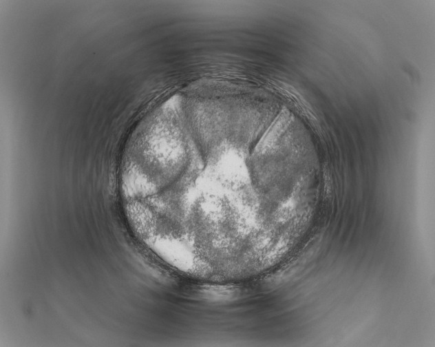 X0000111680457200908141453