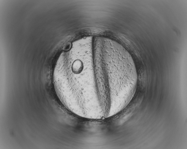 X0000111680462200908141453