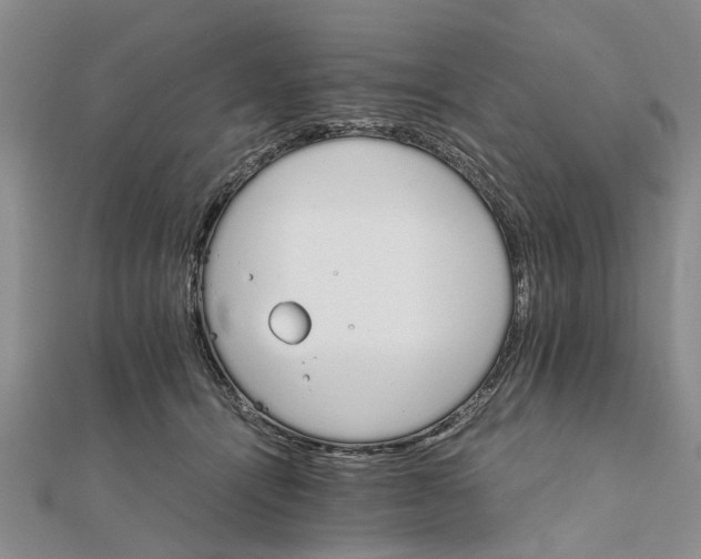 X0000111680464200908141453