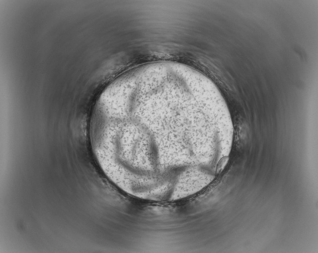 X0000111680466200908141453