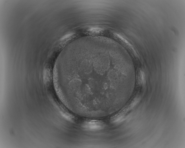 X0000111680467200908141453