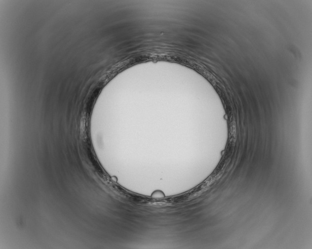 X0000111680468200908141454