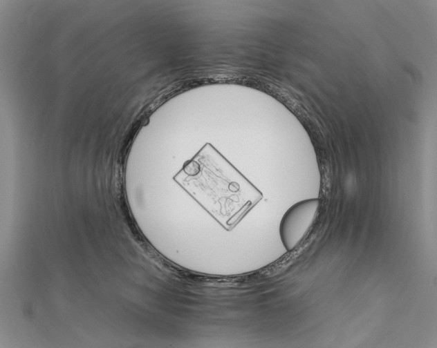 X0000111680470200908141454