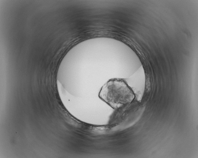 X0000111680473200908141454