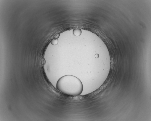 X0000111680474200908141454