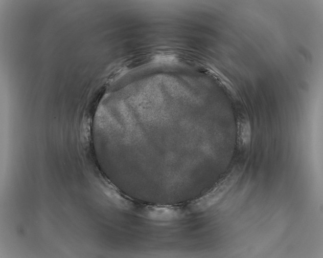 X0000111680475200908141454