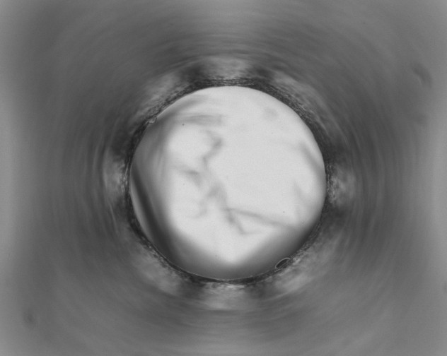 X0000111680476200908141454