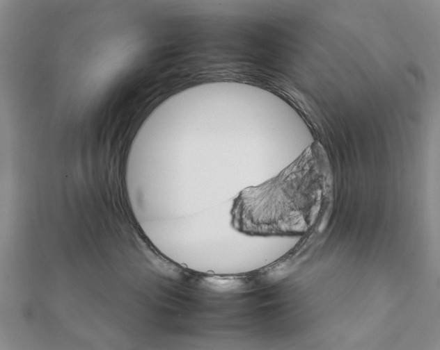 X0000111680477200908141454