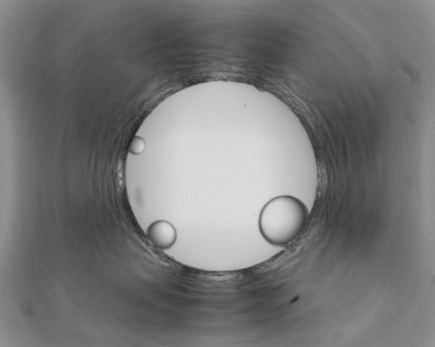 X0000111680479200908141454