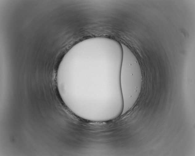 X0000111680480200908141454