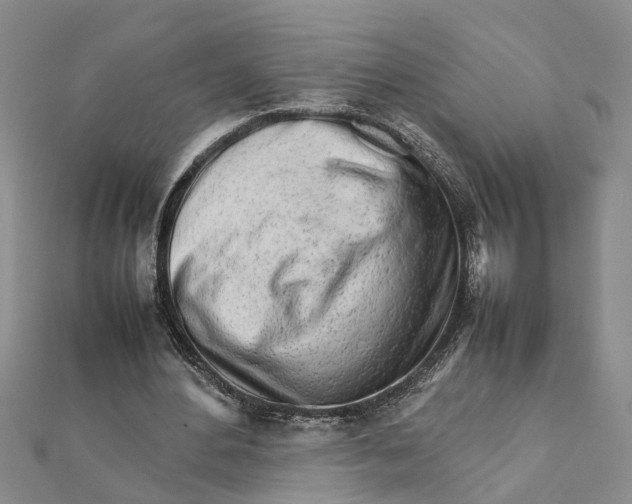 X0000111680484200908141453