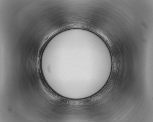 X0000111680486200908141453