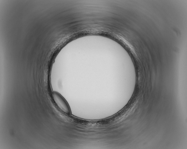 X0000111680493200908141453