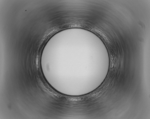 X0000111680494200908141453