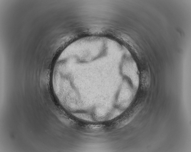 X0000111680495200908141453