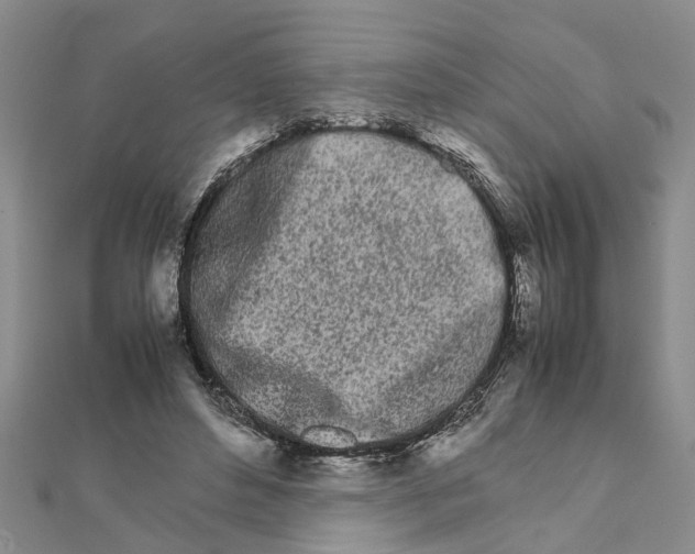 X0000111680496200908141453