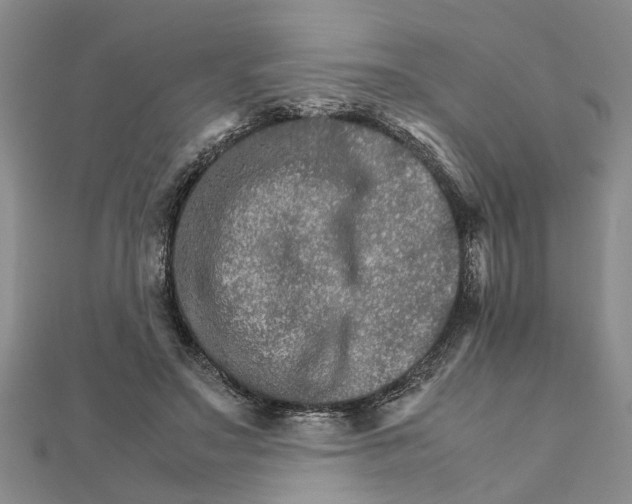 X0000111680499200908141453