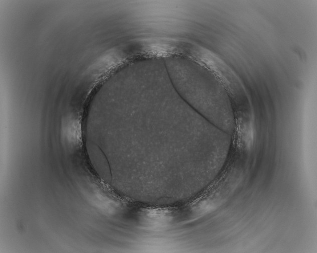 X0000111680500200908141453