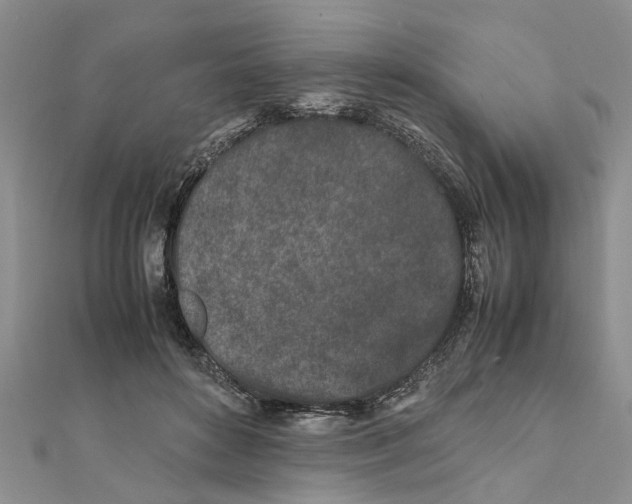 X0000111680504200908141453