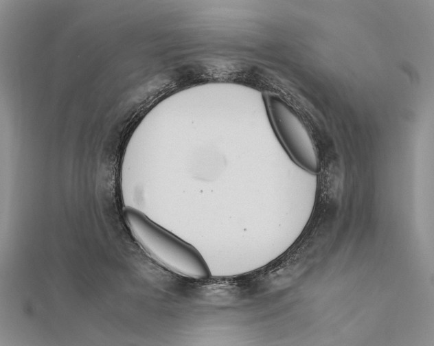 X0000111680505200908141453