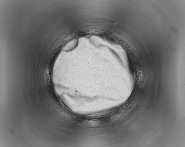 X0000111680506200908141453