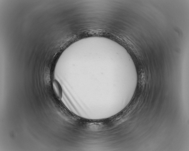 X0000111680508200908141453