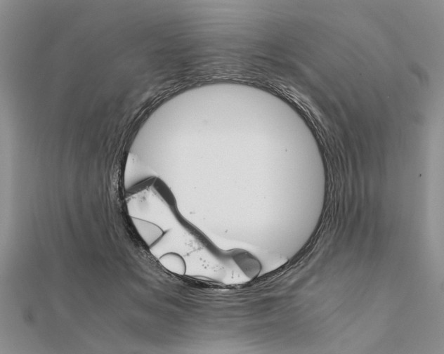 X0000111680509200908141453