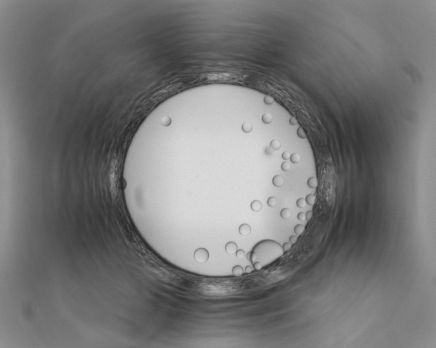 X0000111680510200908141453