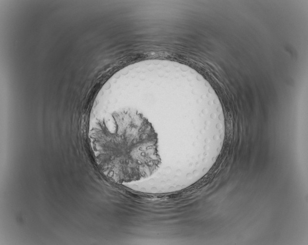 X0000111680511200908141453