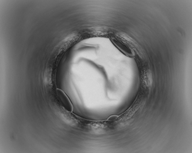 X0000111680512200908141453