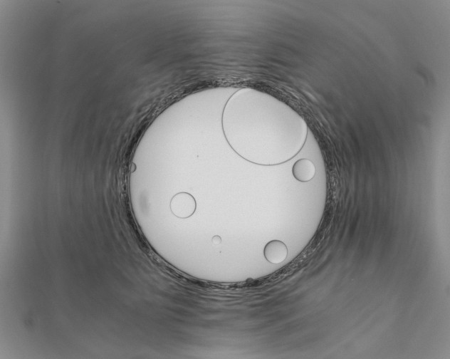 X0000111680515200908141453