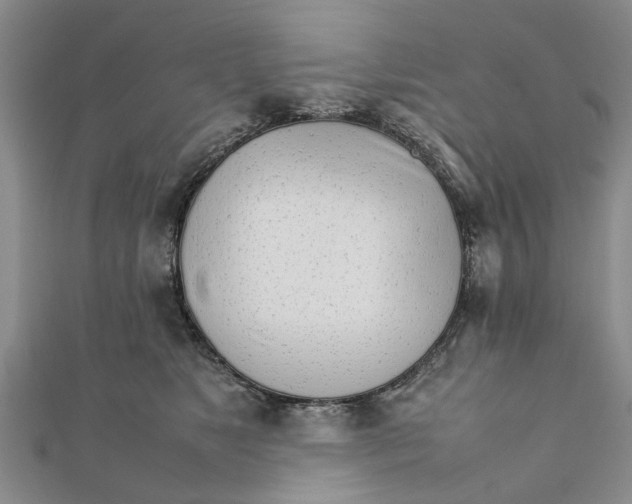 X0000111680517200908141453