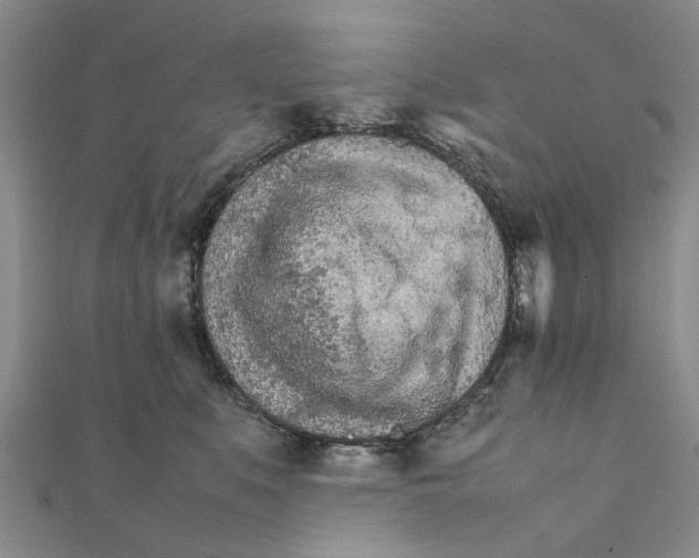 X0000111680519200908141453