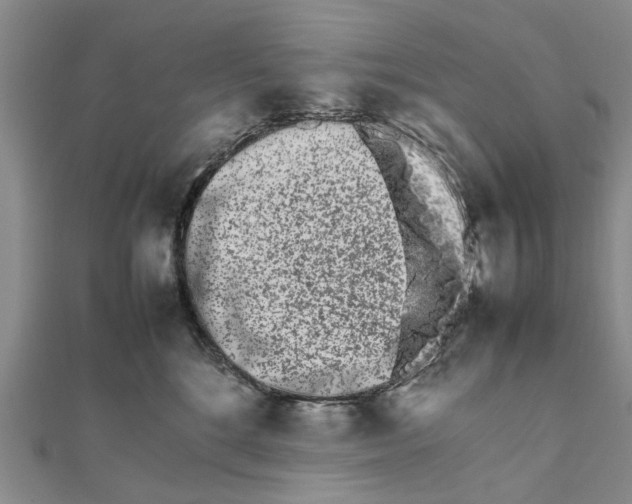 X0000111680520200908141453