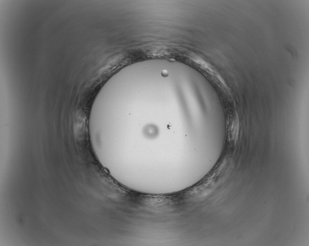 X0000111680521200908141453