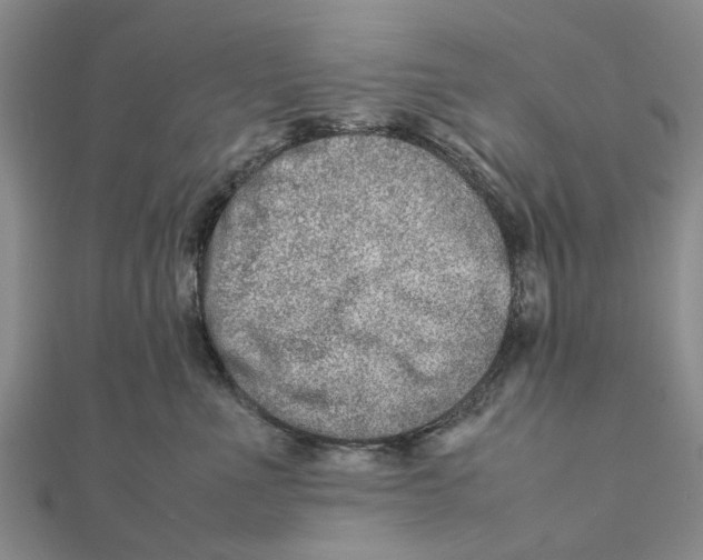 X0000111680523200908141453