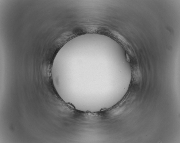 X0000111680525200908141452