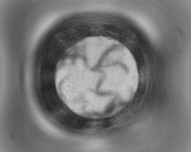 X0000111680527200908141452