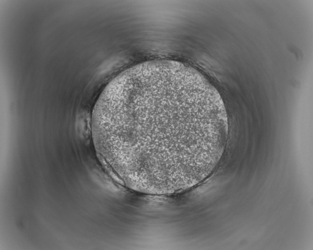 X0000111680528200908141452