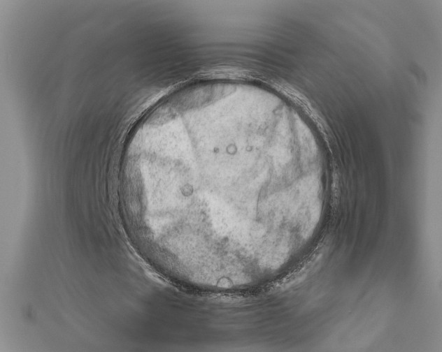 X0000111680529200908141452